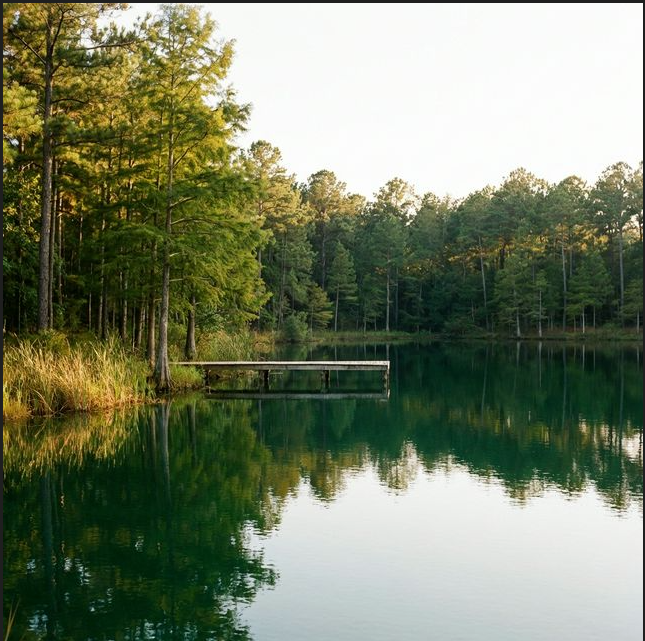 Emerald Lake Dock